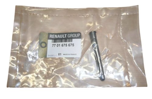 Door Hinge Pin 7701675675 Renault Clio II Megane Genuine New