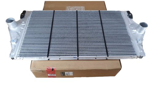 Air Cooler 8200075810 Renault Espace IV 2.2DCI Original