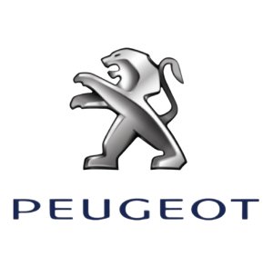 Steering Gear 1623213680 Citroen Berlingo Peugeot Partner 08- Original New