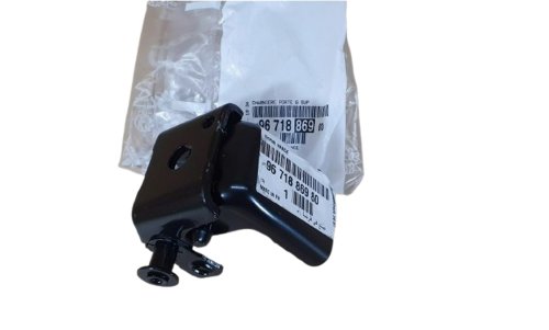 Left Rear Door Hinge 9671886980 Citroen C3 Original New