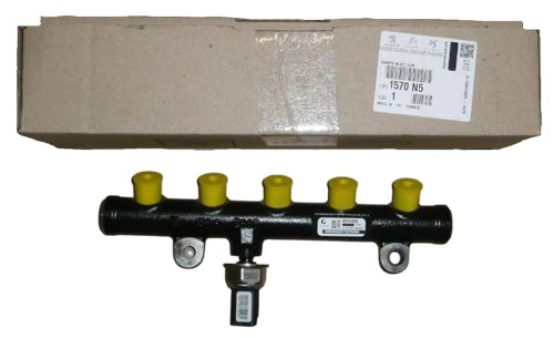 Injection Rail 1570N5  1570.N5   Citroen Peugeot 2.0 HDI New Original