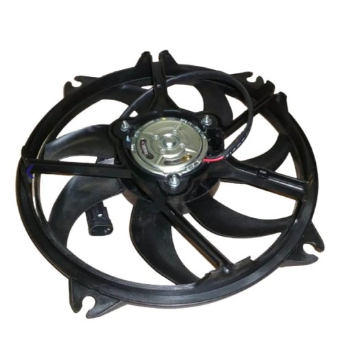 Radiator Fan 1253K1 Citroen Peugeot New Original