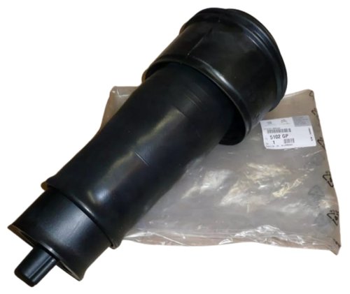 Absorber  Rear  Citroen Jumpy III 5102GP Original 