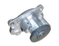 Water Pump Captur 1,2 TCE 210106094R New Original Renault (id: 8472)