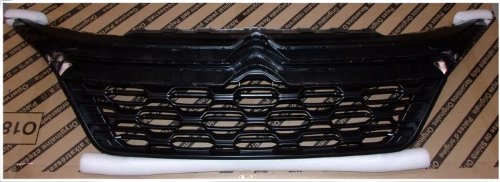 Radiator Grille 1613256780 New Original Citroen Peugeot Jumper III