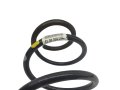 Front suspension spring 8200304222 Renault Scenic II New Original (id: 9966)