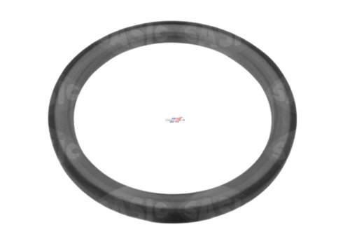 Sealing Ring 1227900Q0D New OE Renault