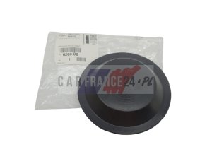 Headlamp Cap 6203C2 New OE PSA