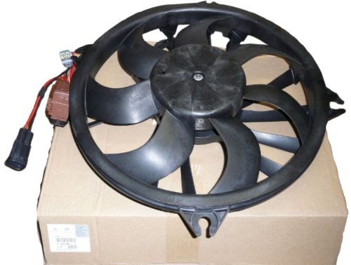 Radiator Fan Motor 1253N5 Peugeot 407 Citroen C5 New Original