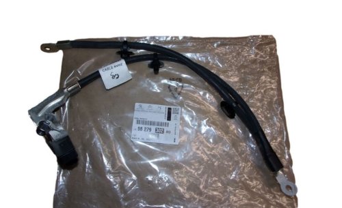 Electric Wires 9827930280 Citroen DS9 Original 