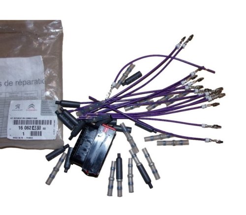 Electric Wires 1606248180 Citroen C5(X7), C6 Original   