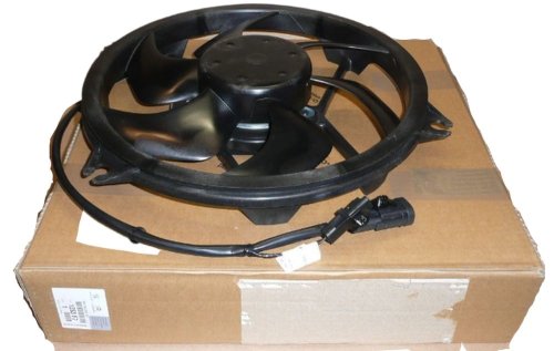 Radiator Cooling Fan 1253G4 Citroen Peugeot Xsara Picasso New Genuine