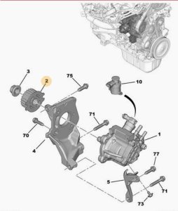 Camshaft Pulley 1,4 1,6 E-HDI 193047 9683818280 Citroen Peugeot Ford Volvo