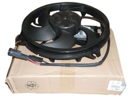 Radiator Fan 1253K5 Citroen Peugeot C5, C6, C8 New Genuine