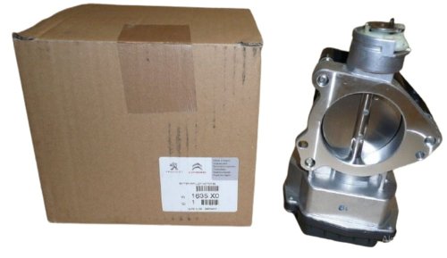 Throttle Body 1635X0 Citroen Peugeot C5, C8, 407 New Genuine