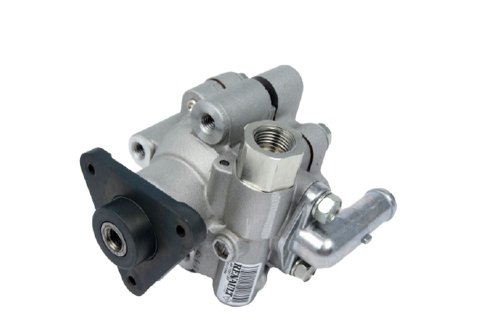 Power Steering Pump 491109718R Master III Movano B NV400 New Original