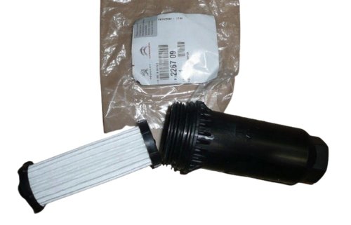 Oil Filter 226709 Citroen Peugeot Renault DW6 New Original 