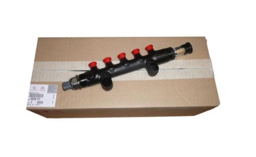 Injection Rail 1570P1  Peugeot Citroen New Original