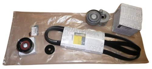 V-Belt Set 117200713R Renault Laguna II 1.9DCI Original 