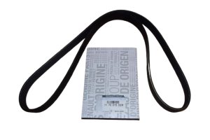 V-Belt 117201565R Renault Dacia 1.5DCI Original