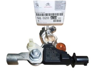 Clamp 9802043480 Citroen Peugeot Original 