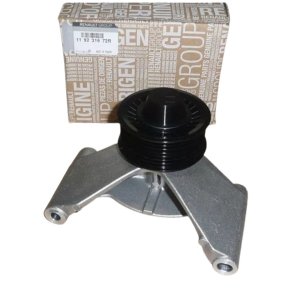 V-Belt Guide Roller 119231672R Renault Original