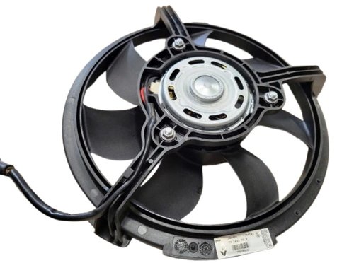 Fan 7701208197 Renault Master II 300W Original