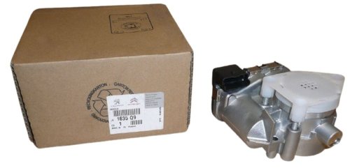 Throttle Body Valve 1635Q9 Citroen Peugeot C2,C3,206,307,308 1.6 16V Original