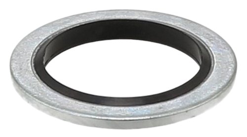 Oil Drain Plug Gasket 110265505R Renault Original