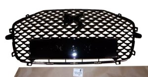 Grille 98208431XY Citroen DS3 Crossback Original