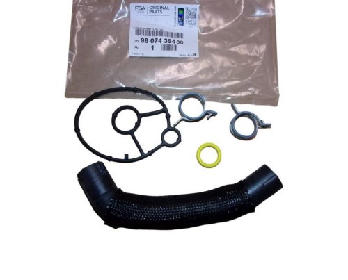 Oil Filter Seal 9807439480 Citroen Peugeot 2.0BLUEHDI Original