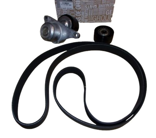 V-Belt Kit 117202056R Renault Master III 2.3DCI Original