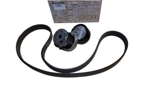 V-Belt Kit 117201925R Dacia Duster II 1.5DCI Original