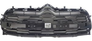 Dummy Grill 96732791XT Citroen DS5 Original