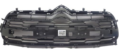 Dummy Grill 96732791XT Citroen DS5 Original