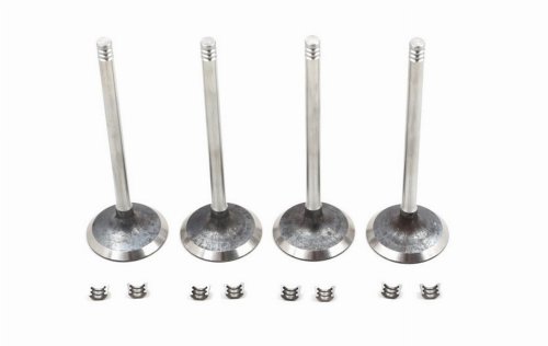 Valve Head 132011980R Renault 1.5DCI 4PCS. Original