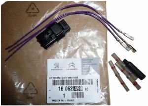 Plug with Parking Sensor Harness 1606249880 Citroen C6 Original