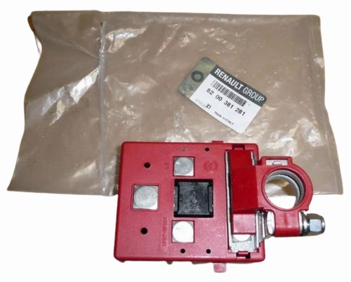 Electric Wires + 8200381281 Renault Scenic,Megane,Clio II Original