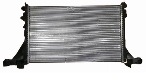 Water Cooler 214101169R Renault Master III Original