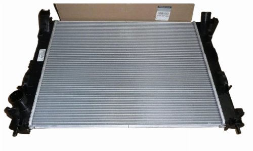 Water Cooler 214105FA0A Renault Dacia Original