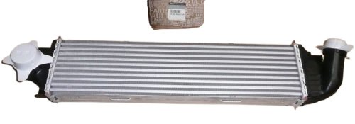 Intercooler 144962019R Trafic 3 Vivaro NV300 1.6DCI New Original