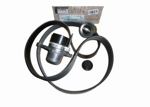 V-Belt Kit 117209956R Renault 2.0/2.3DCI Original