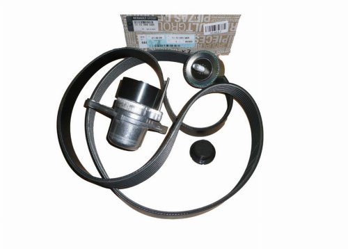 V-Belt Kit 117209956R Renault 2.0/2.3DCI Original