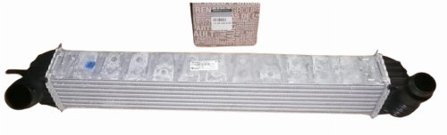 Air Cooler 144610001N Renault Laguna III, Latitude 2.0DCI/1.5DCI Original