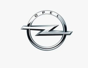 Coolant Reservoir 22953220 Opel New Original 