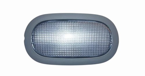 Cabin Light 8200097922 Renault Trafic II Original New