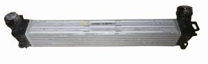 Air Cooler 144968116R Renault Megane III 1.9DCI Original New