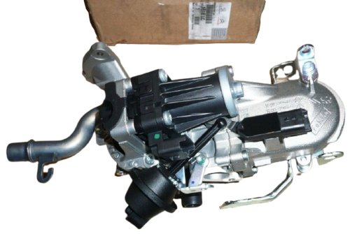 EGR Valve 1618LC Citroen Peugeot New Original
