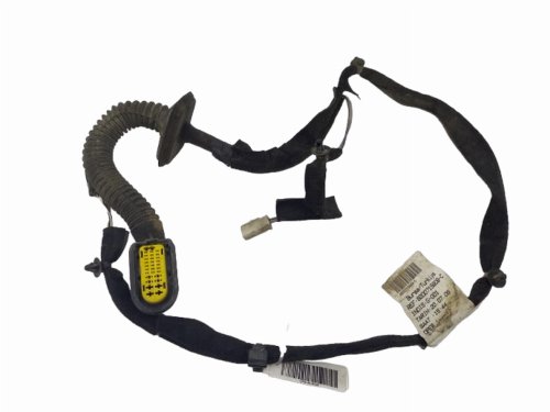 Door Wiring System Left Rear Renault Clio III Kombi 8200715808 8200378842