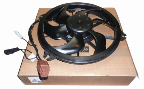 Radiator Fan Motor 1253T2 Peugeot Citroen New Original